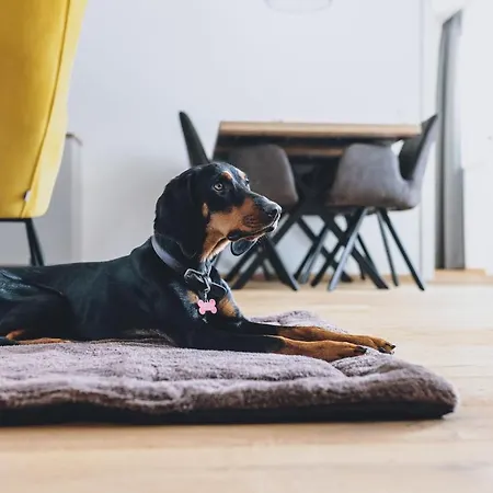 Appartamento M1 - Mountain Living