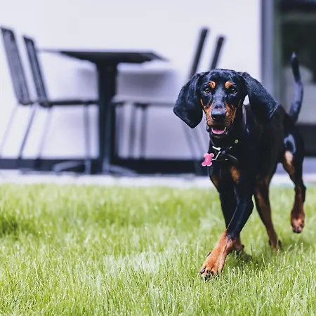 Appartamento M1 - Mountain Living *