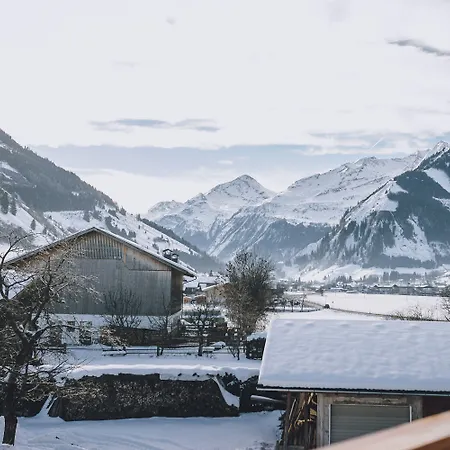 M1 - Mountain Living * Rauris