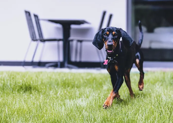 Apartamento M1 - Mountain Living *